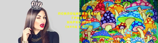мет Верея