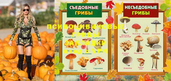 ПСИЛОЦИБИНОВЫЕ ГРИБЫ Верхний Тагил
