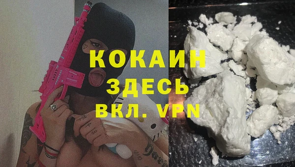 ПСИЛОЦИБИНОВЫЕ ГРИБЫ Верхний Тагил