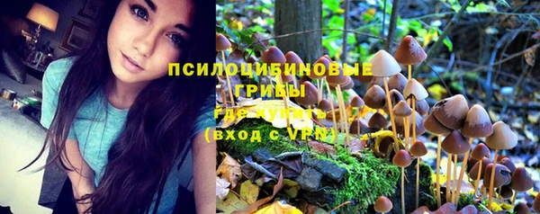 мет Верея