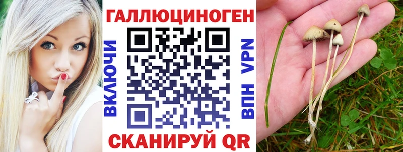 Галлюциногенные грибы прущие грибы  кракен ONION  Вичуга 