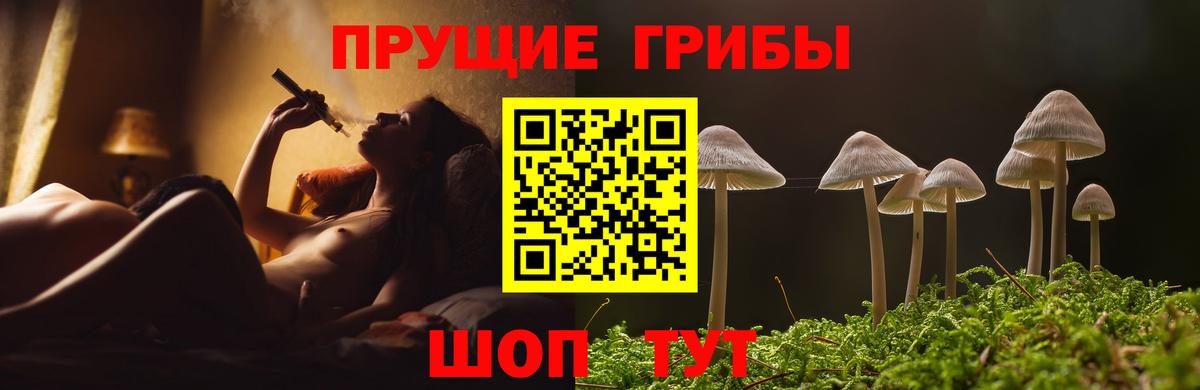 Вичуга  Галлюциногенные грибы ЛСД  Вход с VPN 